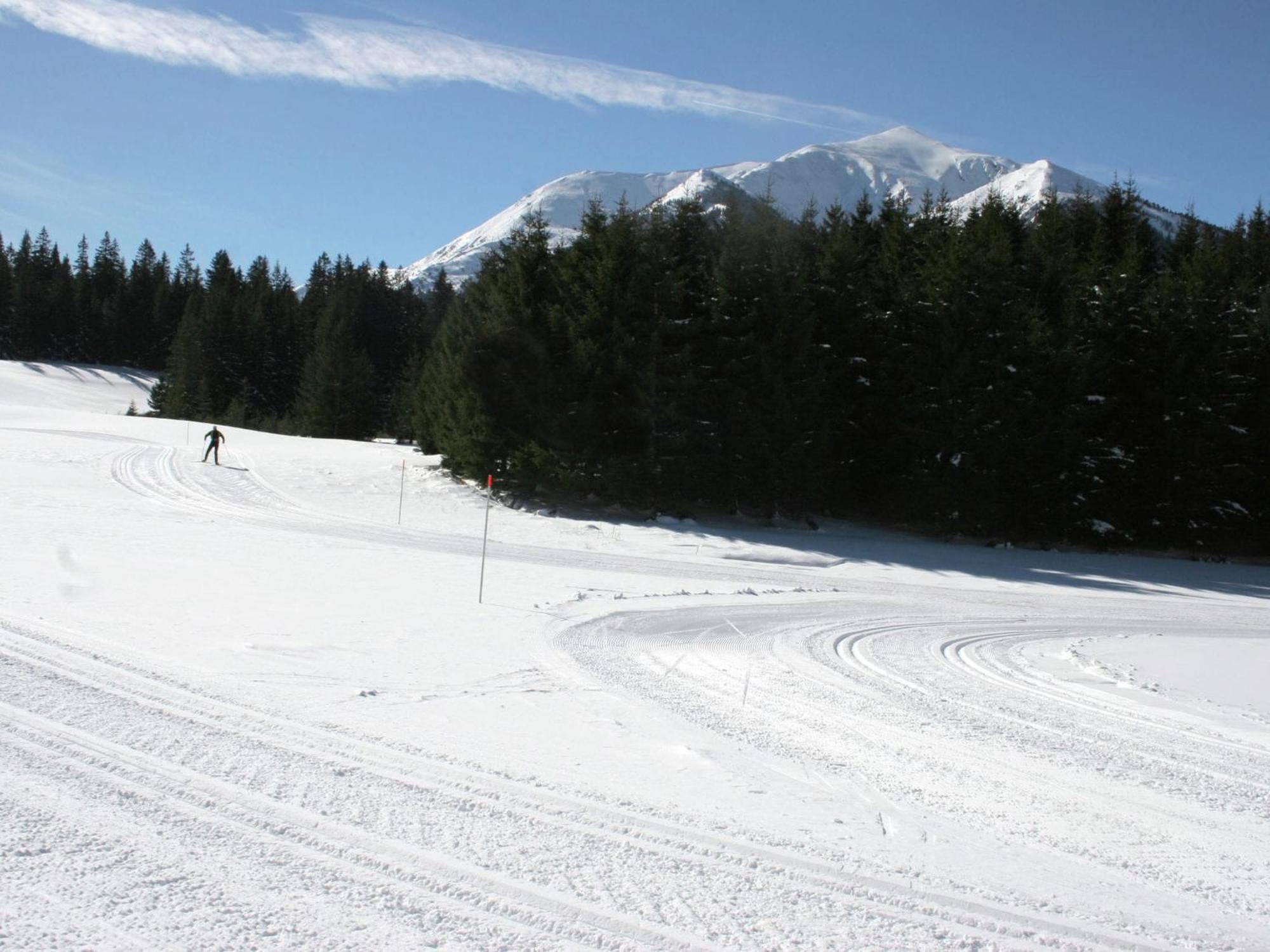 Chalet In Hohentauern With In House Wellness Zewnętrze zdjęcie